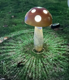 Solar Lighted Metal Mushroom