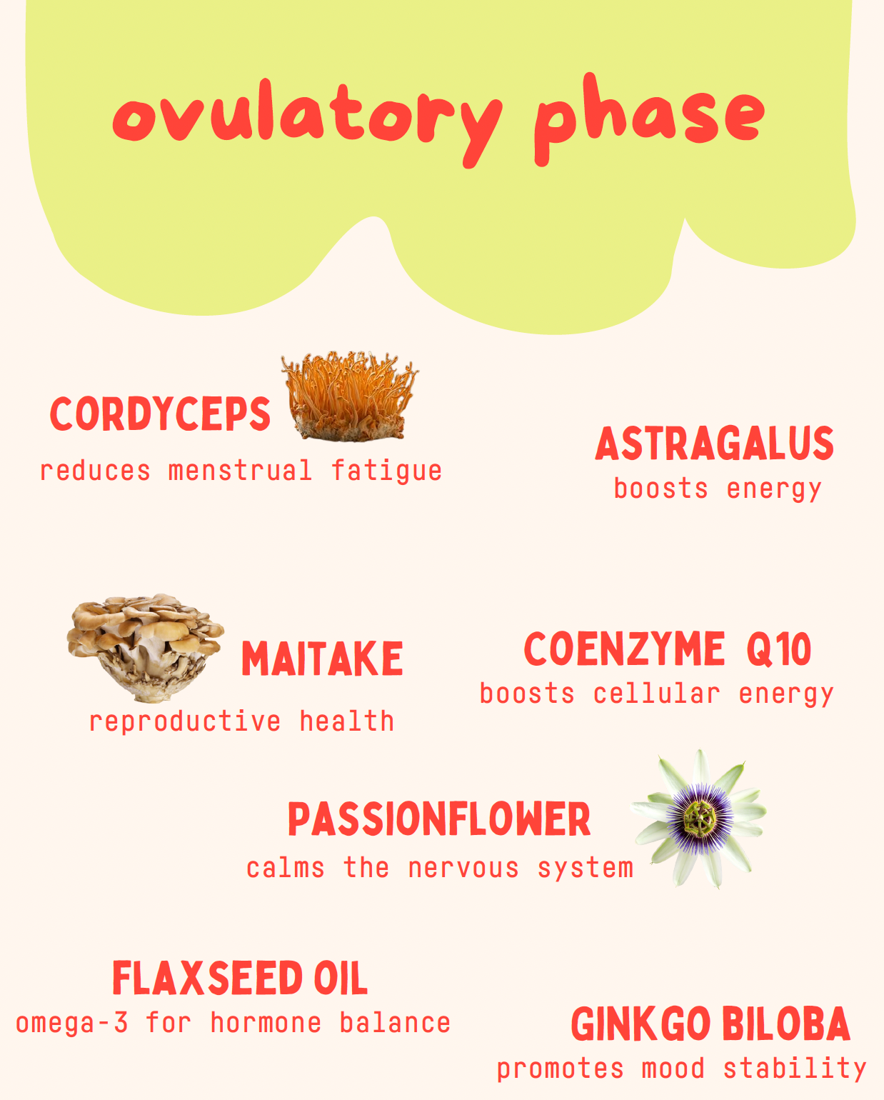 Ovulatory Phase Replacement Bags