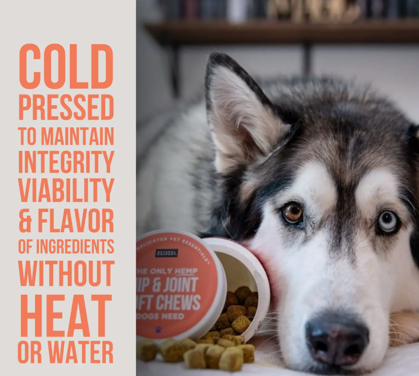 The Only Hemp Hip & Joint Soft Chews Dogs Need