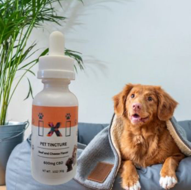 Pet Tincture 600 mg Beef and Cheese Flavor